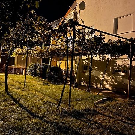 Entire Spacious Apartment With Free Parking Podgorica Bagian luar foto